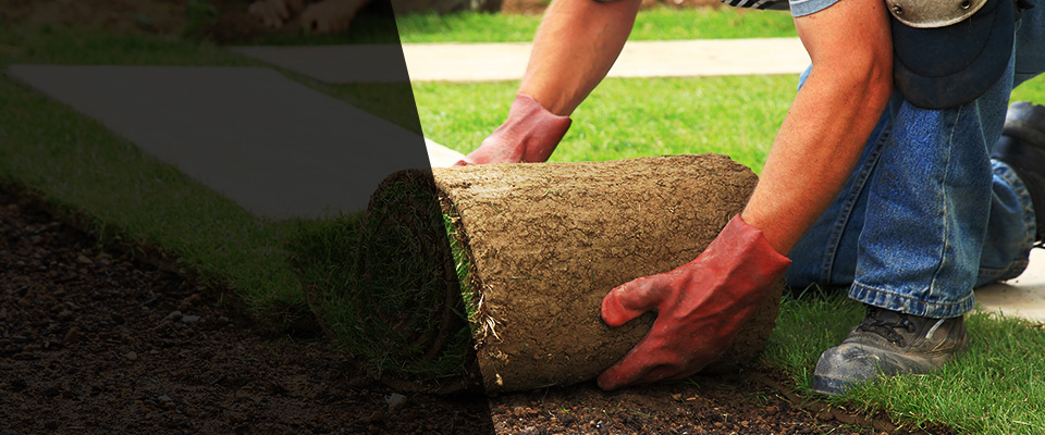 Beacon Landscapers